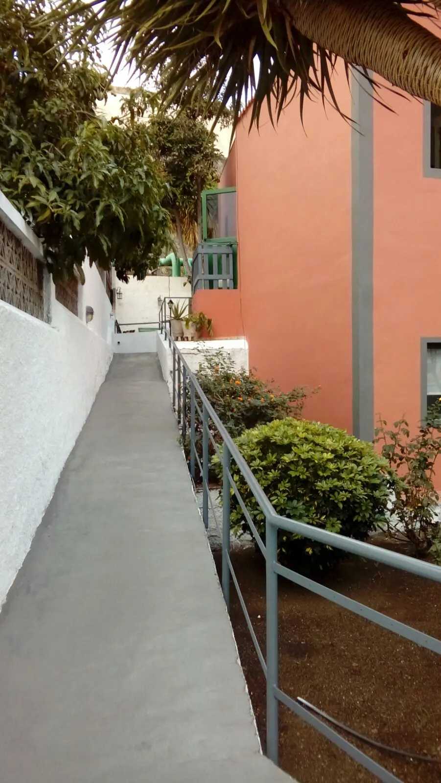 Rampa de acceso con pasamanos que rodea el edificio entre zonas ajardinadas